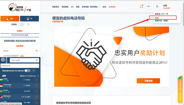 2023成功注册ChatGPT通过海外手机号验证的方法，附chatgpt手机号验证接码平台