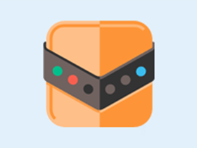 Reg Organizer(注册表整理工具) v9.93 中文绿色版