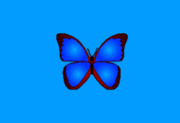 bkViewer v8.6a 绿色版(小巧精悍的数码照片浏览器)