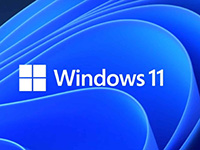 Windows 11 23H2 Build 22631.7517 RTM(集成累积更新)