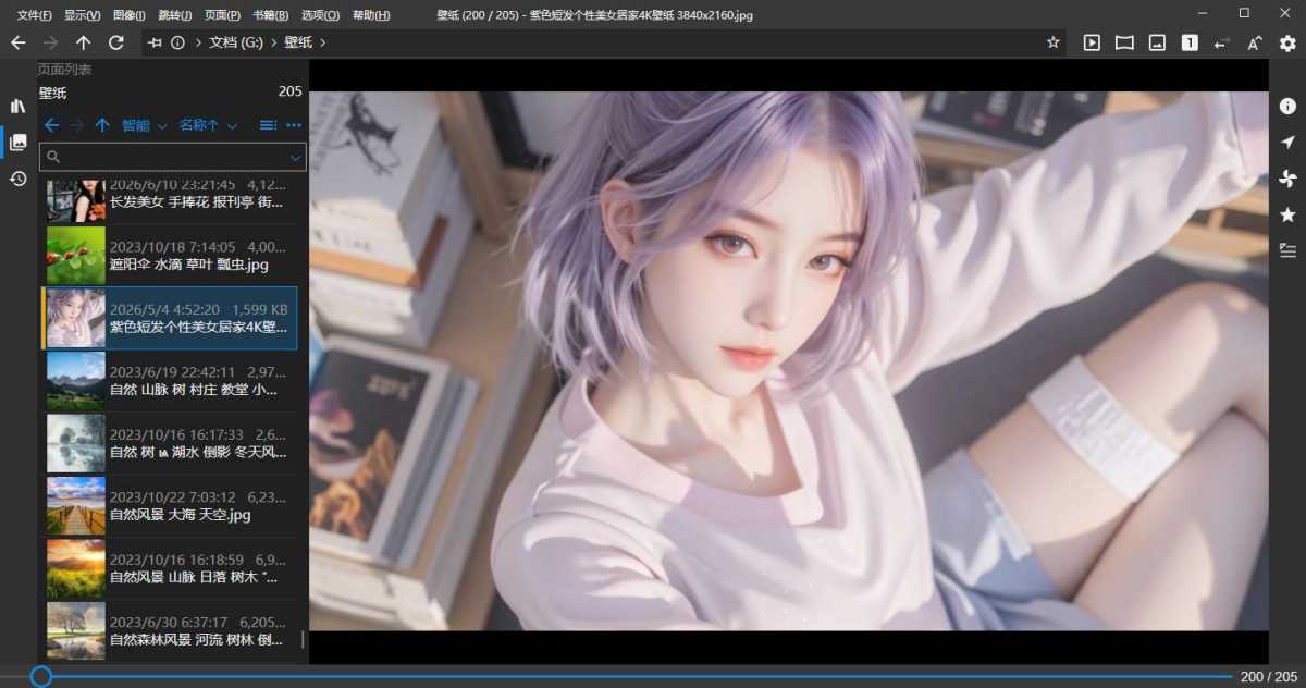 NeeView(高效图片浏览器) v46.0 中文绿色版